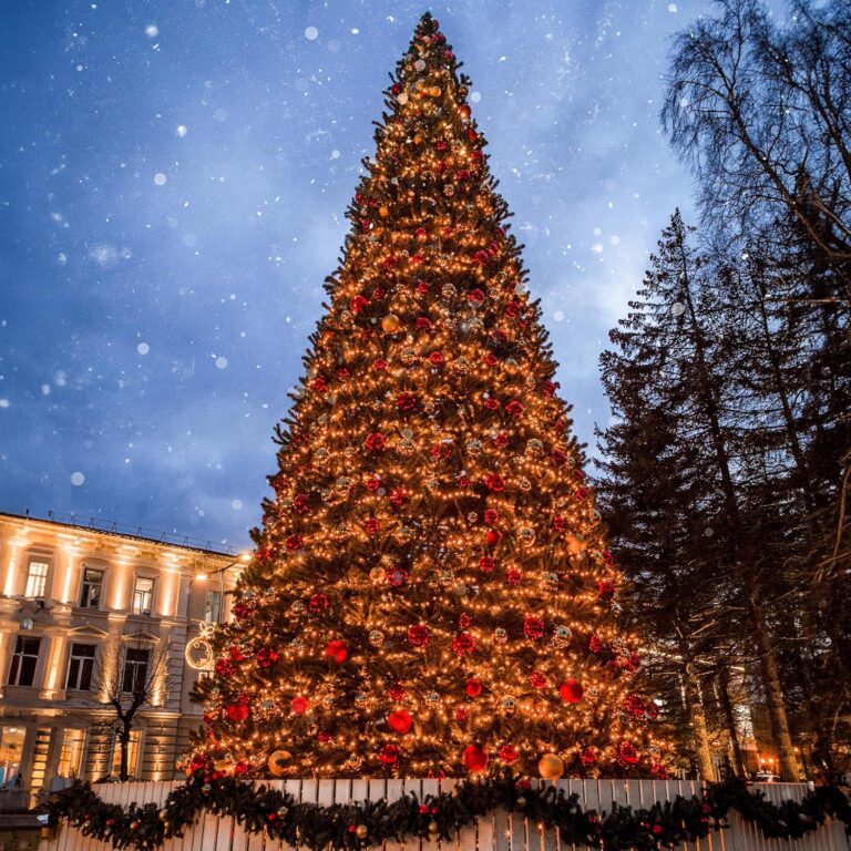 Image 1 of buy Northlight Olympia Pine Christmas tree