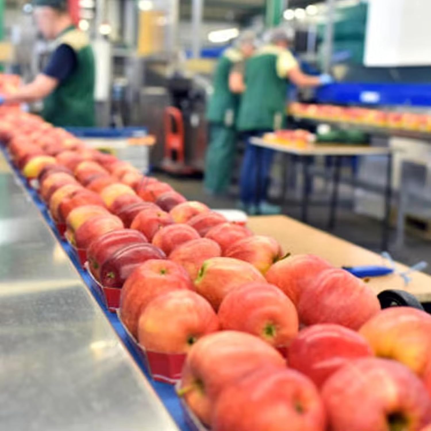 Buy Commercial Apple Juice Production Line: Complete Expert Analysis 2 buy commercial apple juice production line,commercial apple juice machine worth buying,best industrial fruit juice equipment,apple processing line pros cons,commercial juice centrifuge vs alternatives,should I buy an industrial juice press unboxing and complete package contents