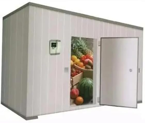 buy commercial walk-in freezer solar,commercial walk-in freezer worth buying,best walk-in cold storage unit,solar powered freezer pros cons,walk-in freezer vs cold room,should I buy a solar cold room performance testing and real-world results