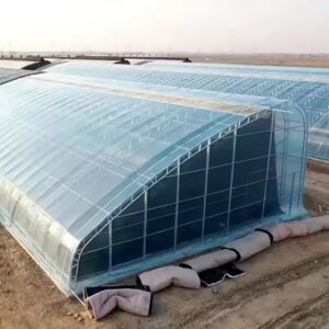 Image 1 of buy double arch greenhouse