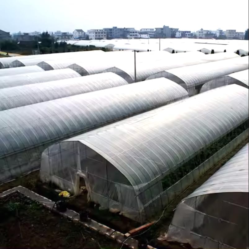 buy double arch greenhouse,double arch greenhouse worth buying,best double arch greenhouse,double arch greenhouse pros cons,should I buy a double arch greenhouse,double arch vs single arch greenhouse unboxing and complete package contents