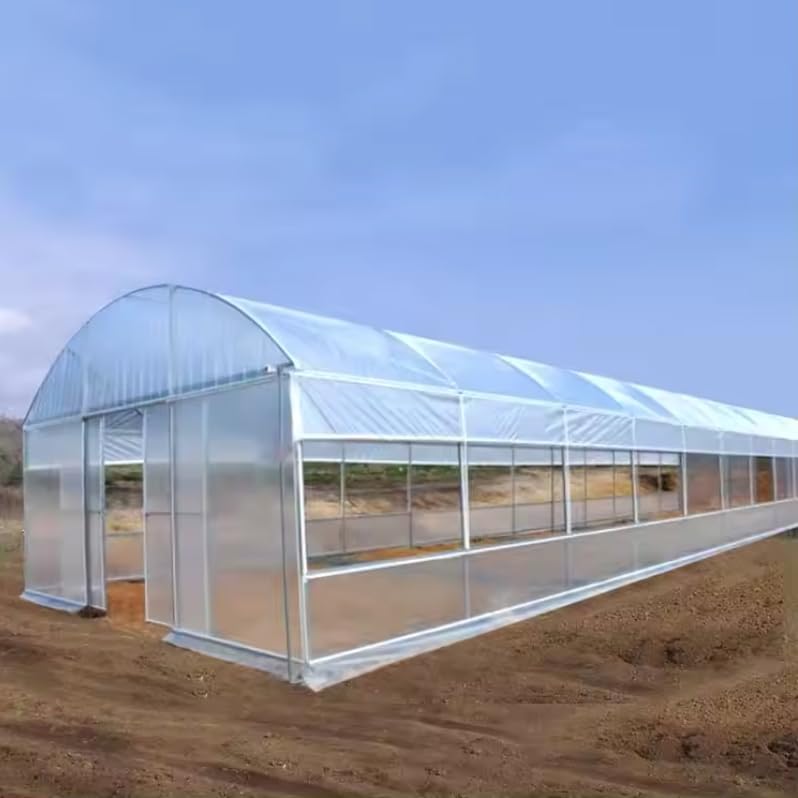 Step-by-step guide for buy double arch greenhouse,double arch greenhouse worth buying,best double arch greenhouse,double arch greenhouse pros cons,should I buy a double arch greenhouse,double arch vs single arch greenhouse - complete tutorial