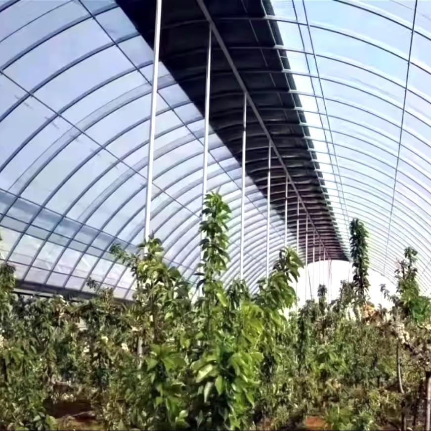 buy double arch greenhouse,double arch greenhouse worth buying,best double arch greenhouse,double arch greenhouse pros cons,should I buy a double arch greenhouse,double arch vs single arch greenhouse performance testing and real-world results